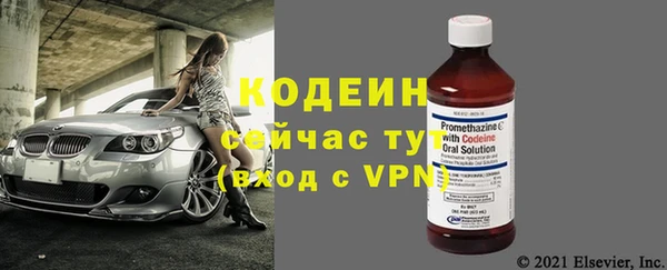 дмт Горно-Алтайск