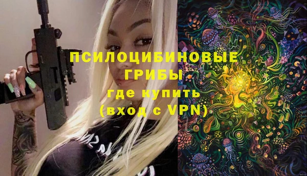 дмт Горно-Алтайск