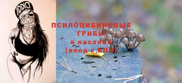 дмт Горно-Алтайск