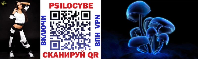 Купить где  Бийск  Псилоцибиновые грибы Psilocybine cubensis 