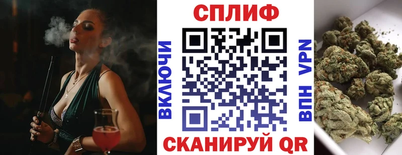 Каннабис план  Купить  Бийск 